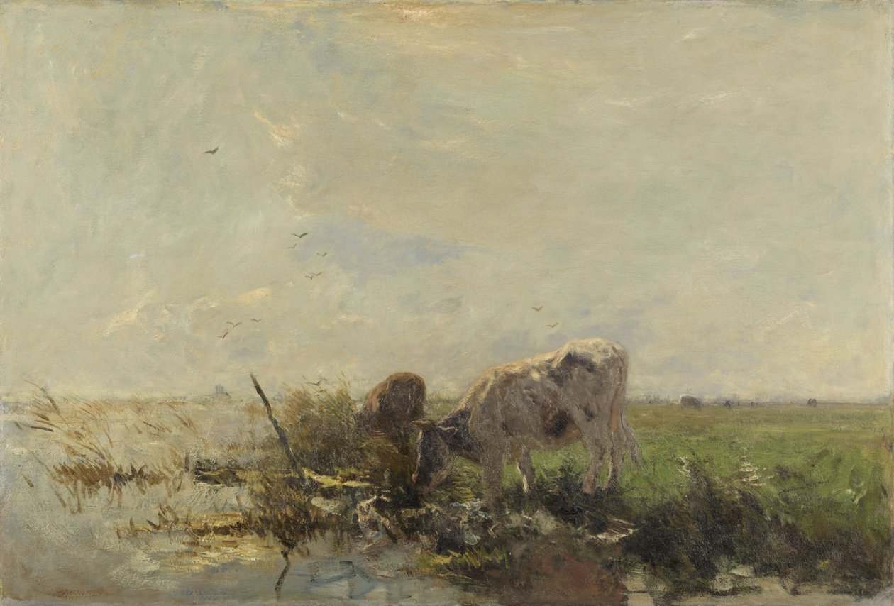  od Willem Maris
