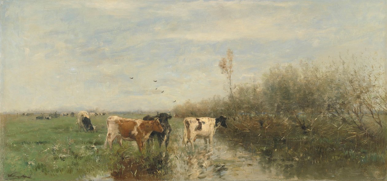 Krávy na podmáčené louce od Willem Maris