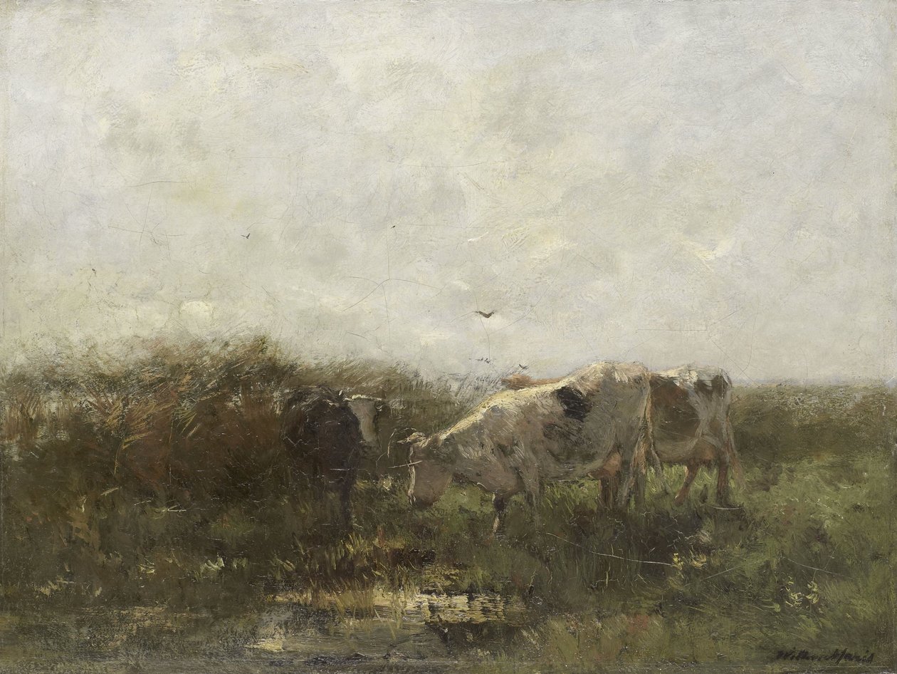  od Willem Maris