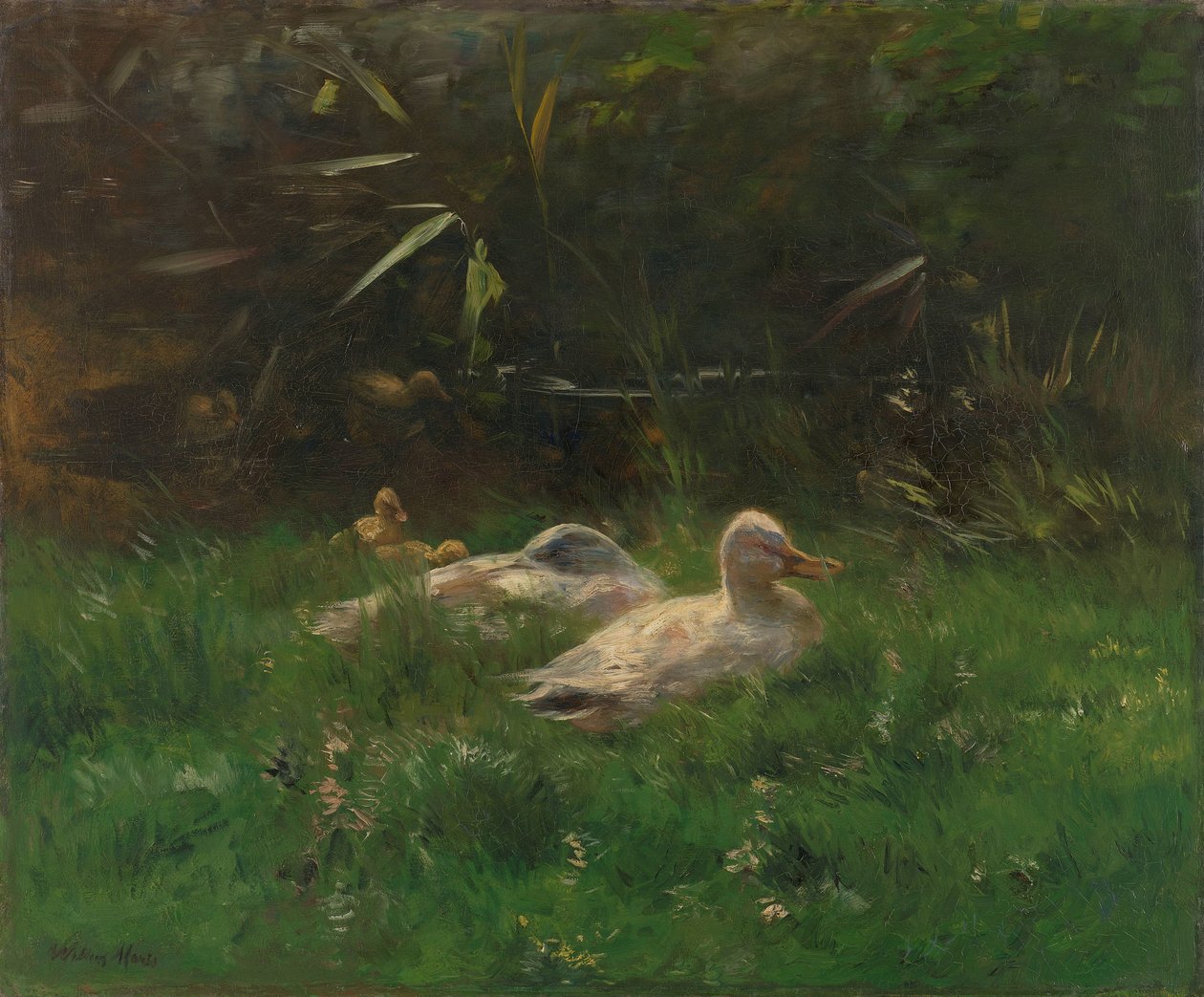 Kachny od Willem Maris