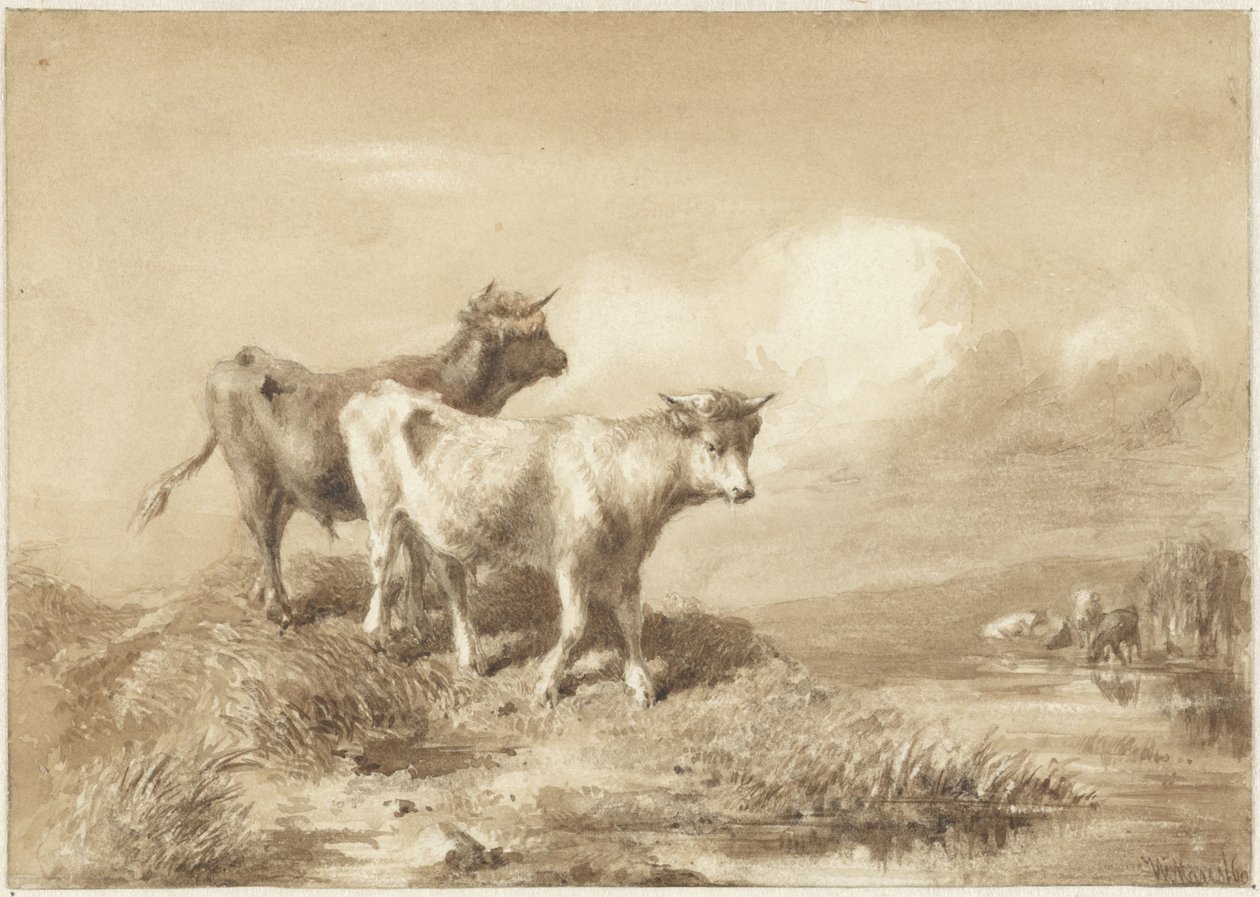 Krávy u vody od Willem Maris