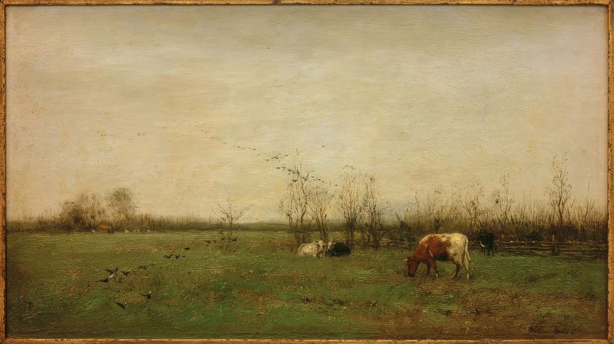Pastvina krajina od Willem Maris