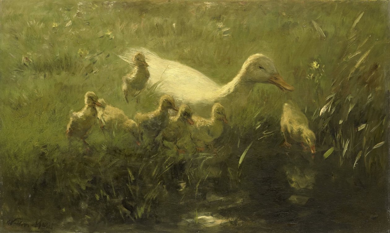 Bílá kachna s kuřaty od Willem Maris