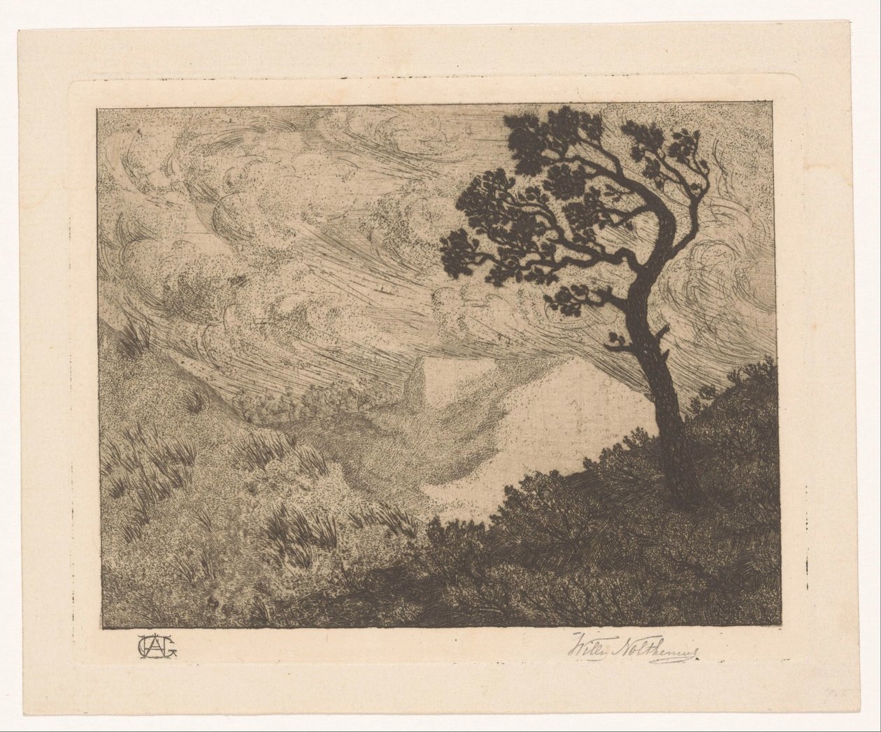 Strom v kopcovité krajině od Willem Nolthenius (signed by artist)