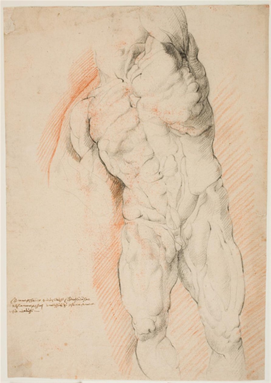 Anatomická studie (écorché). Čelní pohled na stojícího muže staženého z kůže se zdviženou levou paží od Willem Panneels
