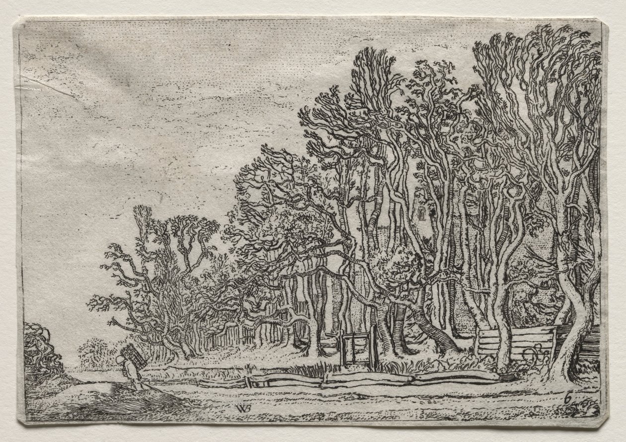 The Set of the Landscapes: Two Plank-Hedges, 1616. od Willem Pietersz Buytewech