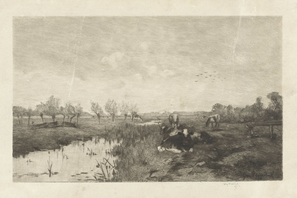 Polder krajina s krávami od Willem Steelink (II)