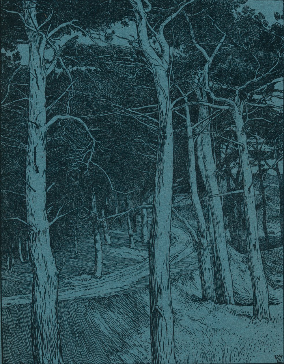 Woodland, c1912 od Willem Wenckebach
