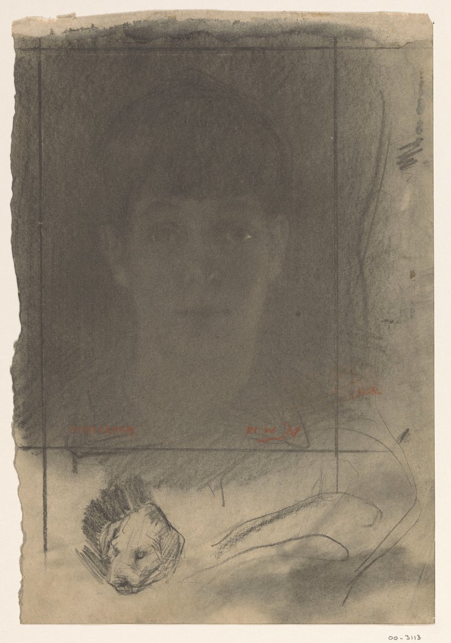 Portrét, jedna tvář od Willem Arnoldus Witsen