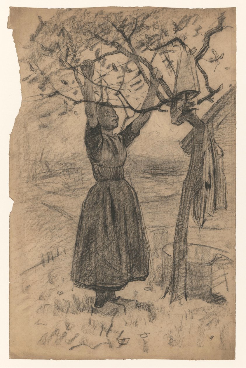 Žena věší prádlo na strom, vpravo od Willem Arnoldus Witsen