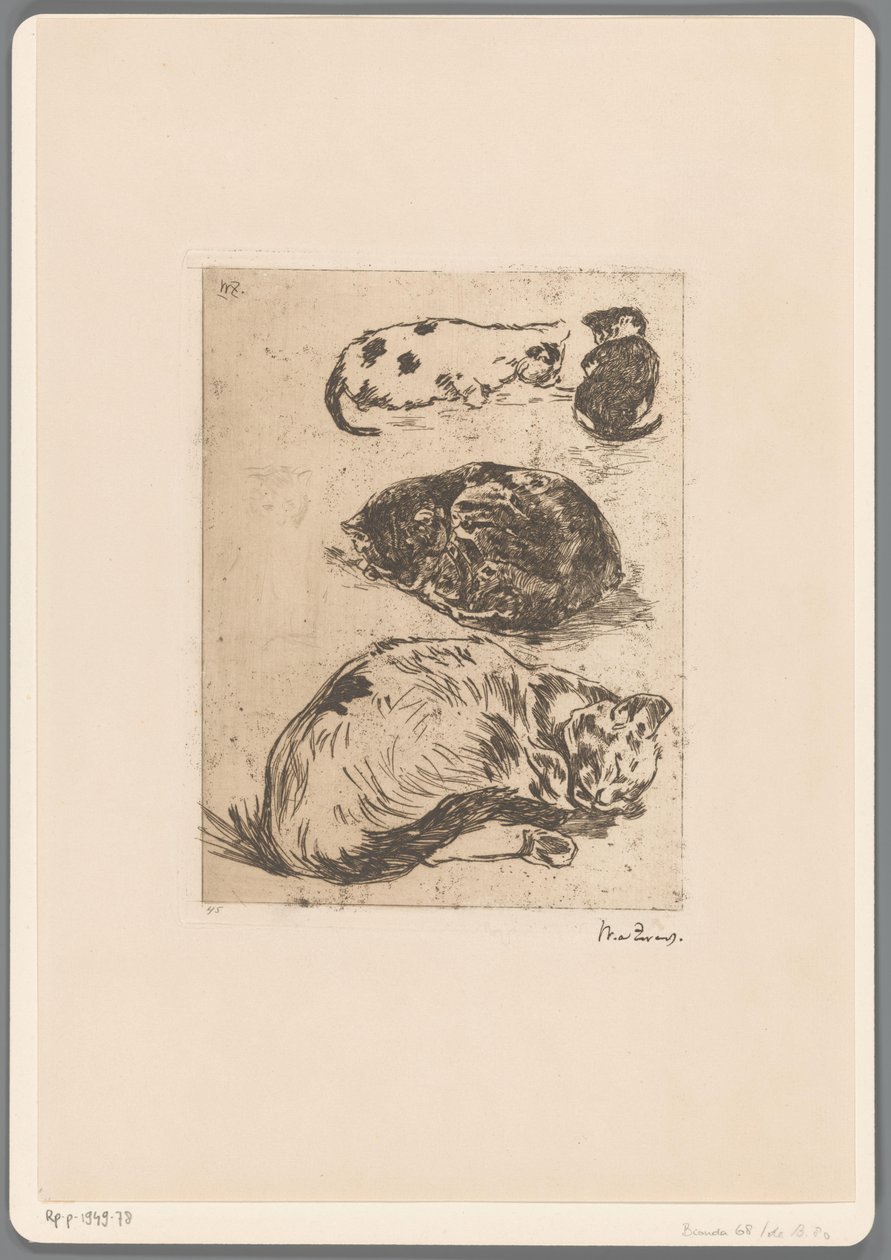 Studium koček (původní název) od Willem de Zwart (signed by artist)