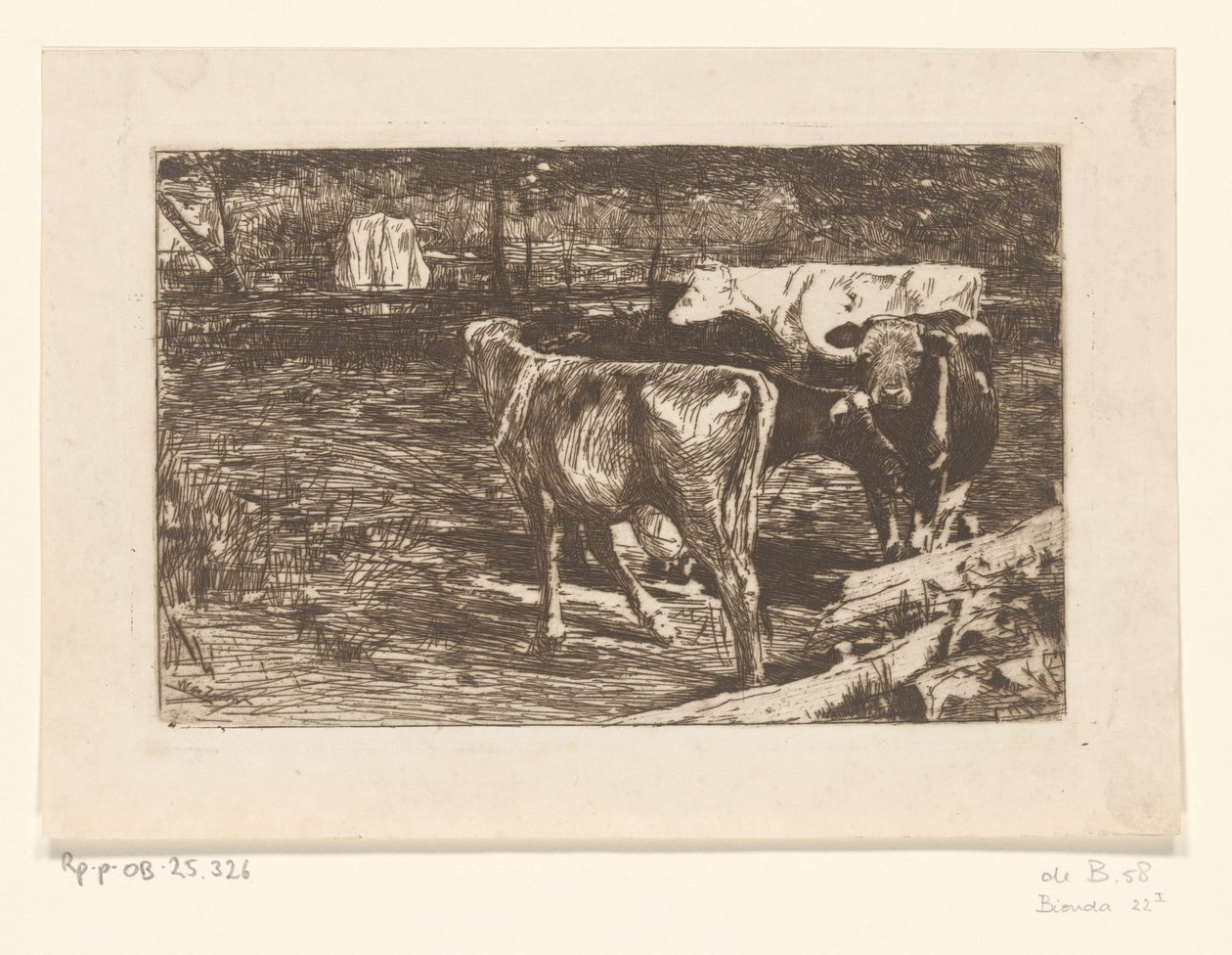 Čtyři krávy na louce Milk bend (původní název) od Willem de Zwart