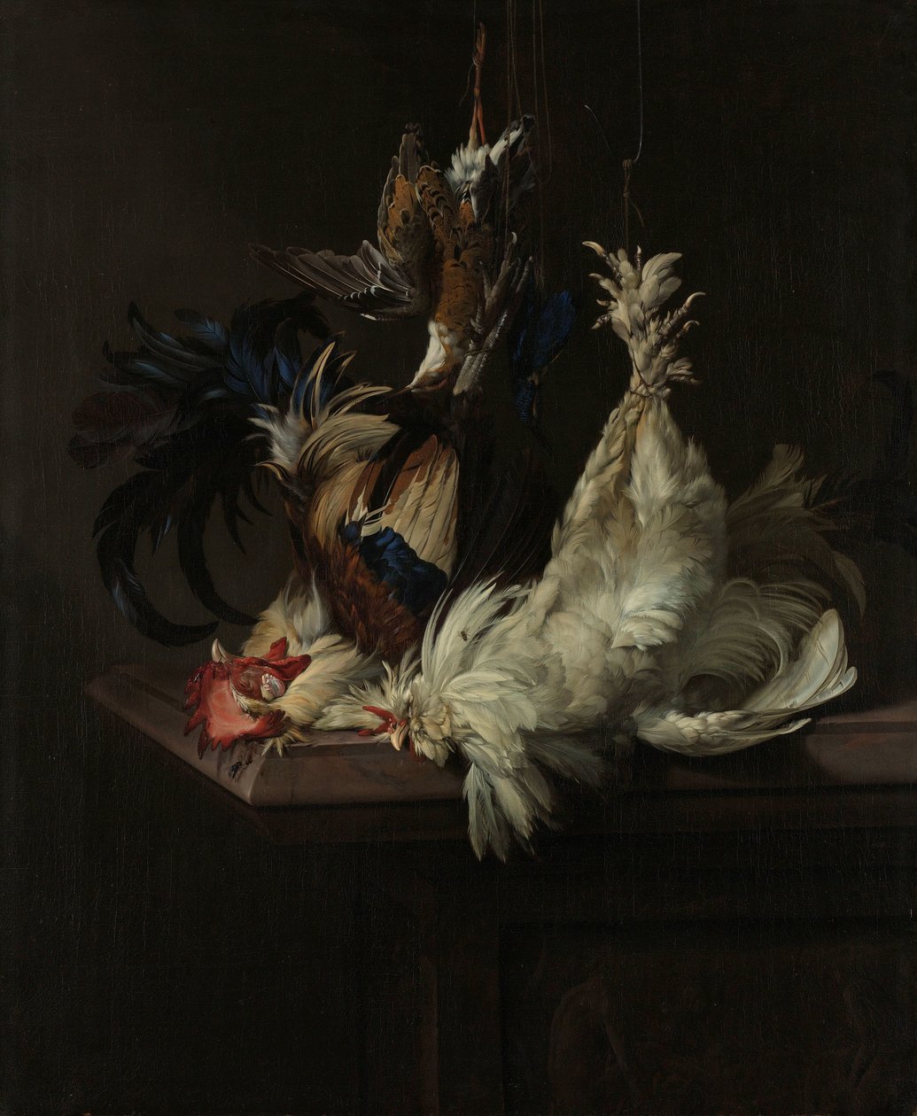 Zátiší s Fowl Zátiší s drůbeží od Willem van Aelst