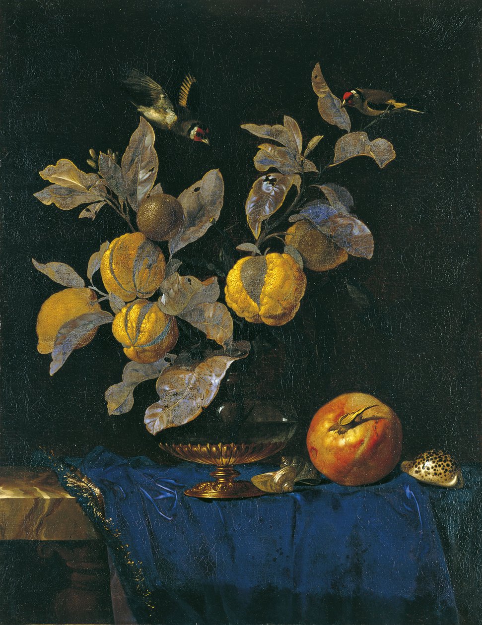 Zátiší s ovocem od Willem van Aelst