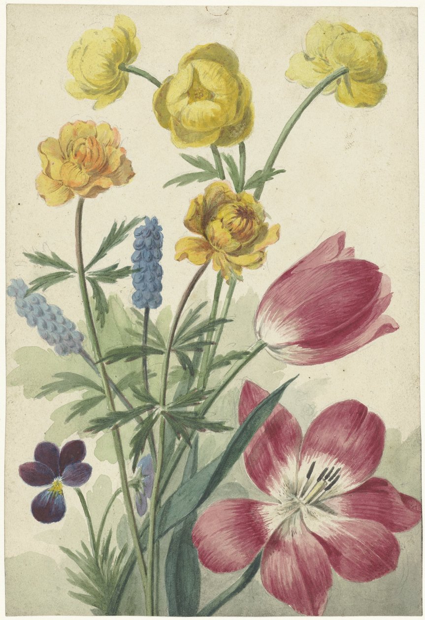 Kytice tulipánů, fialek, hroznových hyacintů a puntíky od Willem van Leen