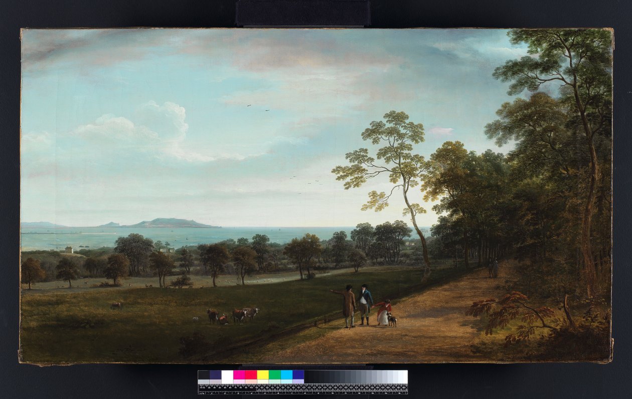 Pohled do parku Mount Merrion, 1806 od William Ashford
