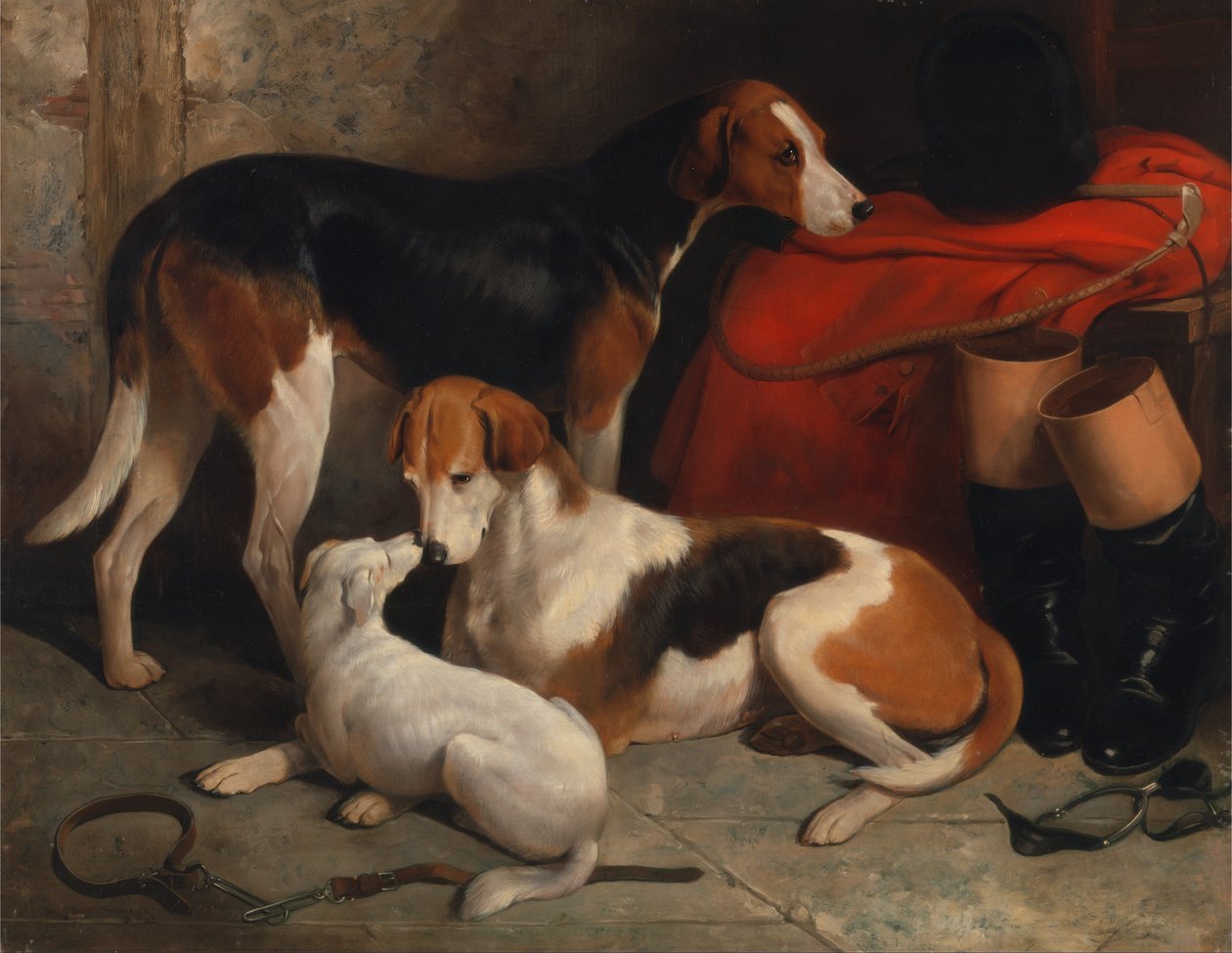 Pár Foxhoundů s teriérem, majetek lorda Henryho Bentincka od William Barraud