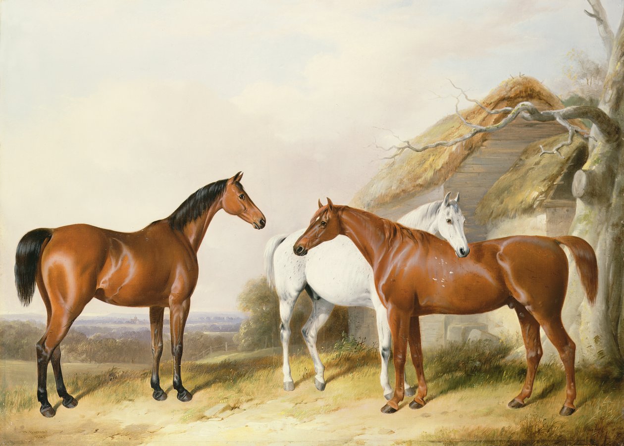 Mimo stáj, 1845 od William Barraud