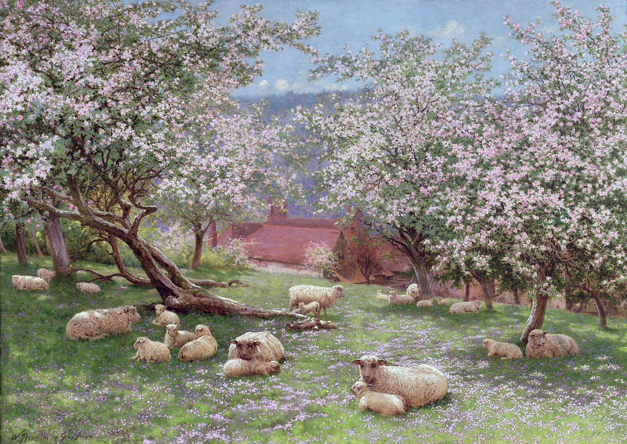 Appleblossom od William Biscombe Gardner