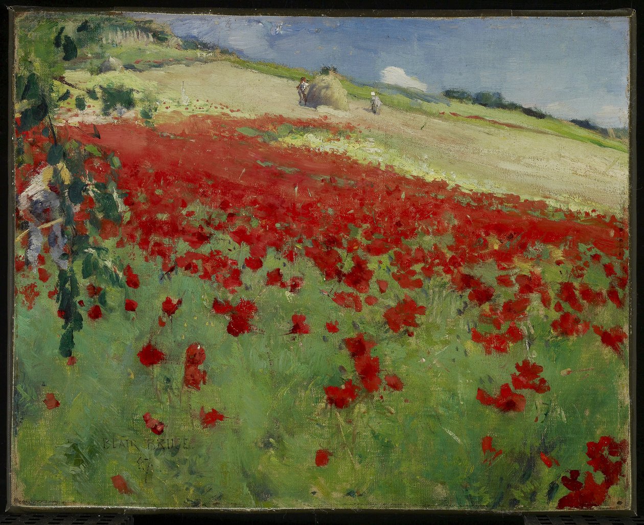 Krajina s máky, 1887 od William Blair Bruce