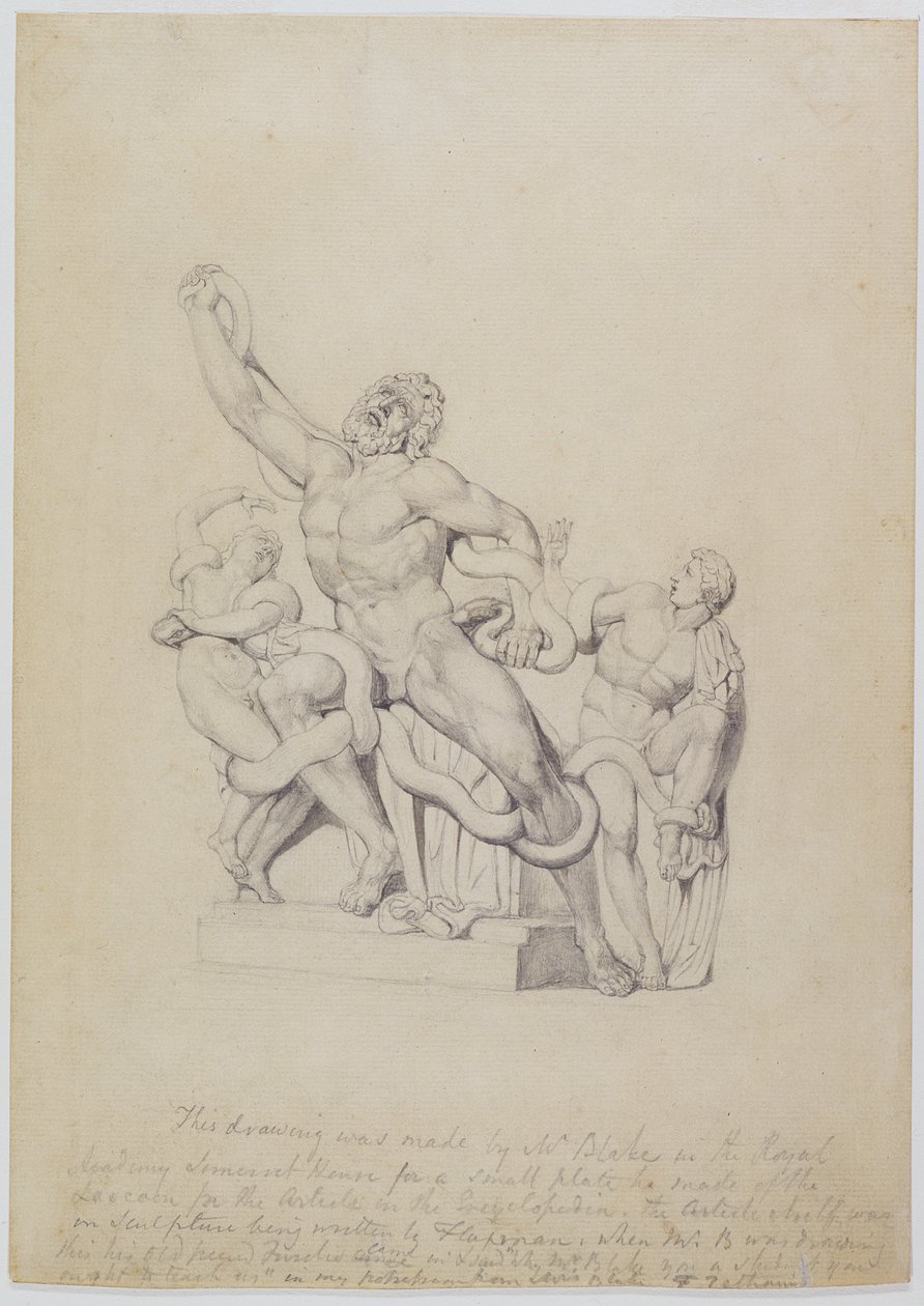 Copy of the Laocoon, pro Rees