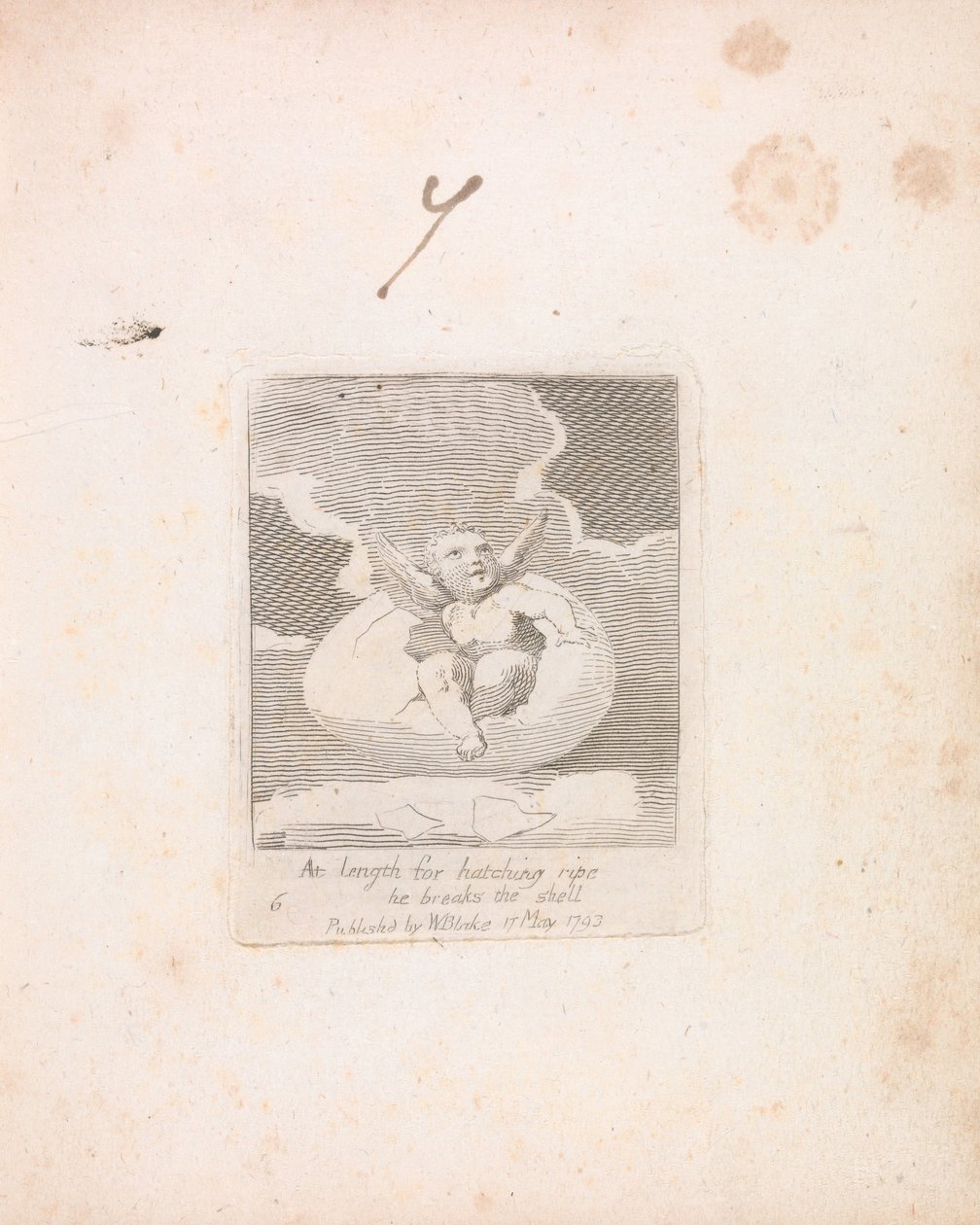 Pro děti. Brány ráje, talíř 8, na délku pro vylíhnutí zralý láme skořápku od William Blake