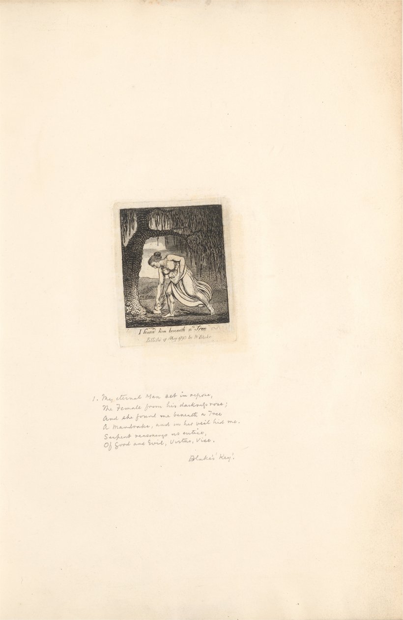 Pro pohlaví- brány ráje, talíř 3, našel jsem ho pod stromem od William Blake