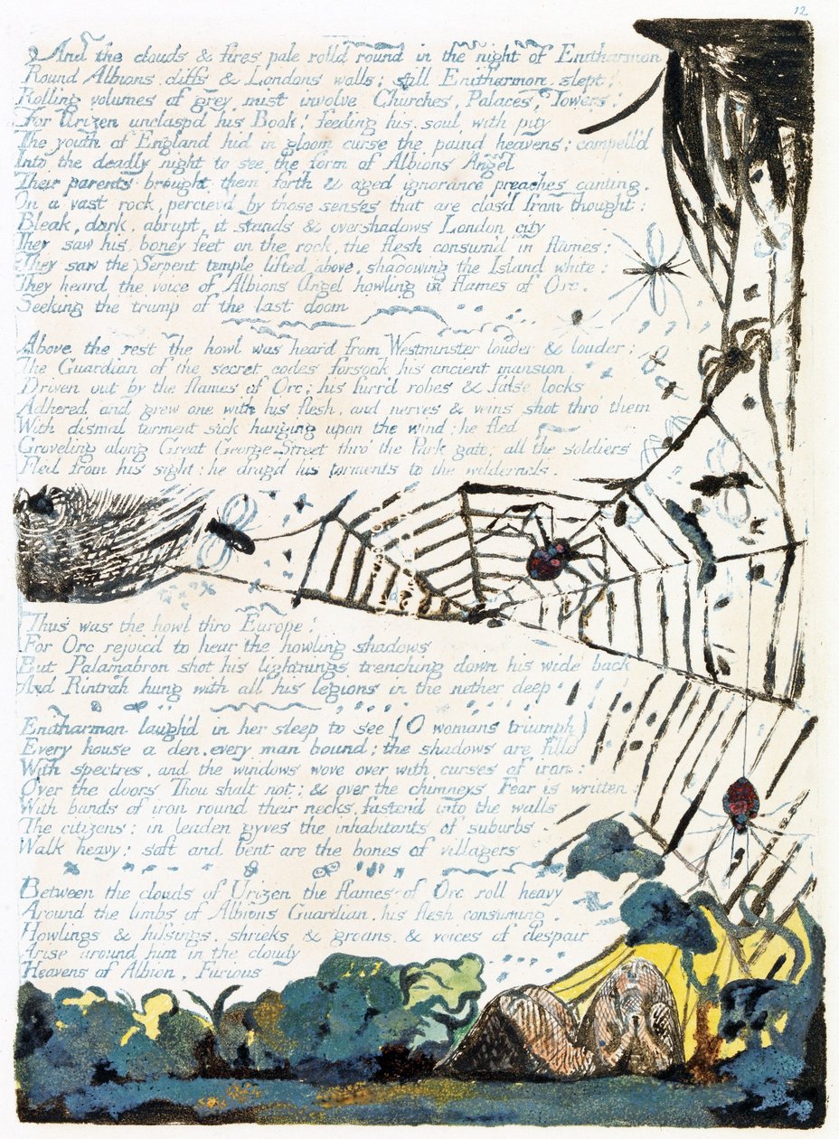 Ilustrace z 