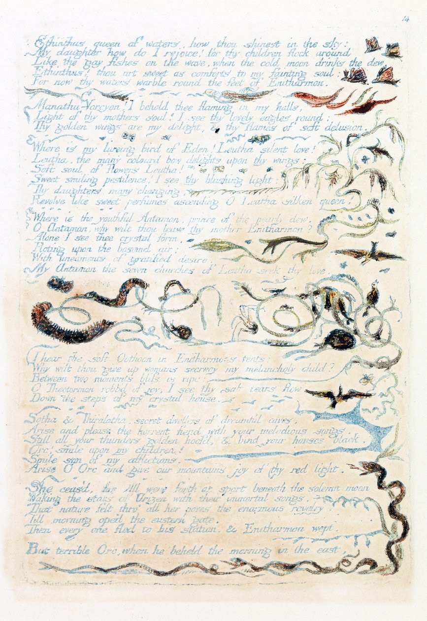 Ilustrace z 