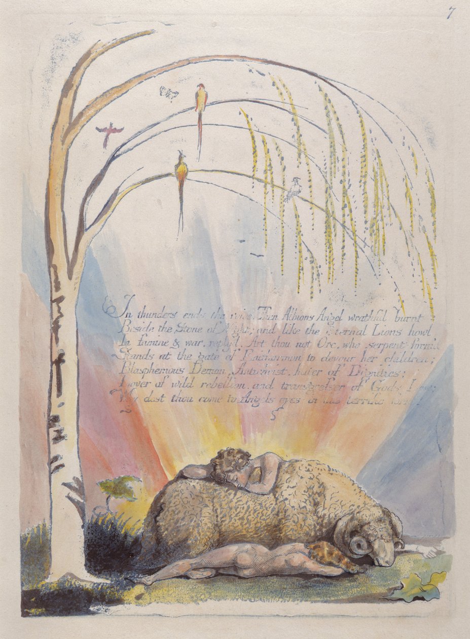 V hromu končí hlas..., deska 9 z Ameriky: Proroctví, 1793 (reliéfní lept modře vytištěný perem a inkoustem a wc) od William Blake
