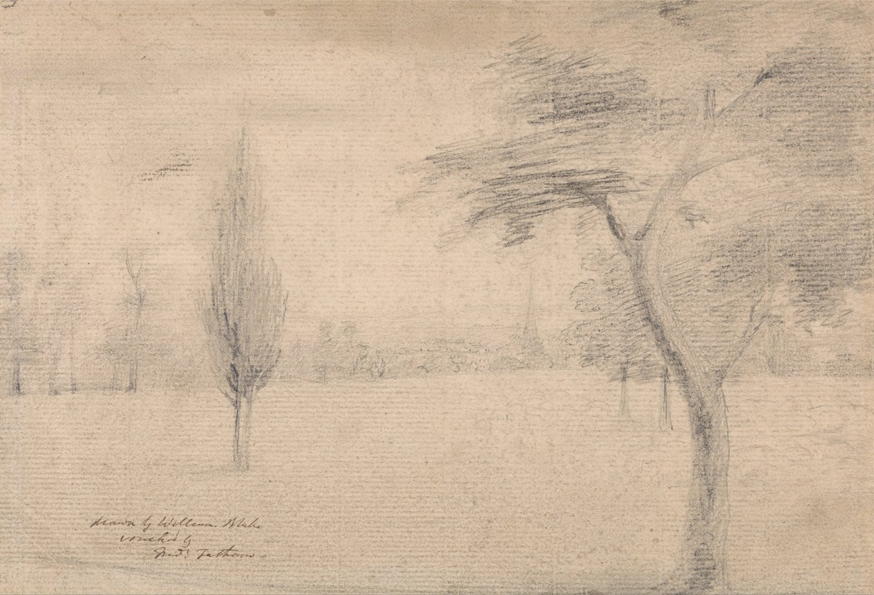 Krajina s věží od William Blake