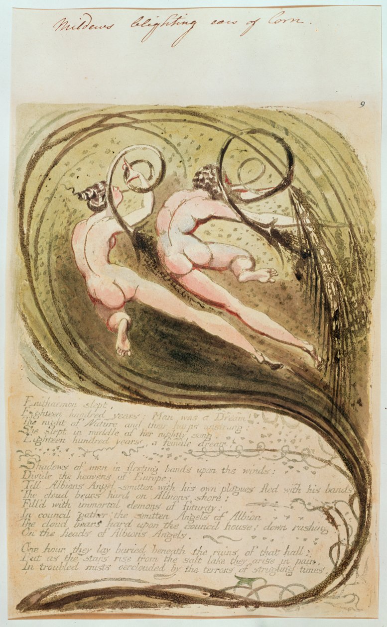 Plíseň kukuřičné klasy od William Blake