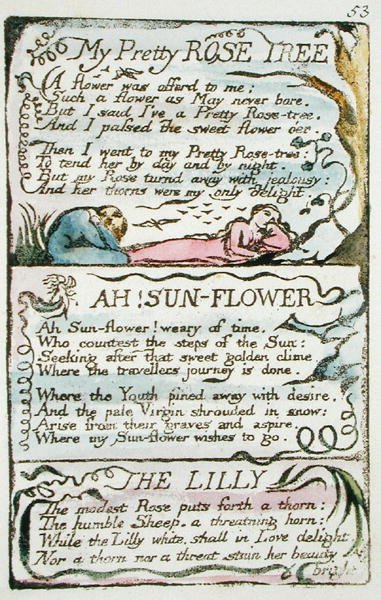 My Pretty Rose Tree, deska 53 (Bentley 43) z The Songs of Innocence and of Experience (Bentley copy L) 1789-94 (reliéfní lept perem a wc na papíře) od William Blake
