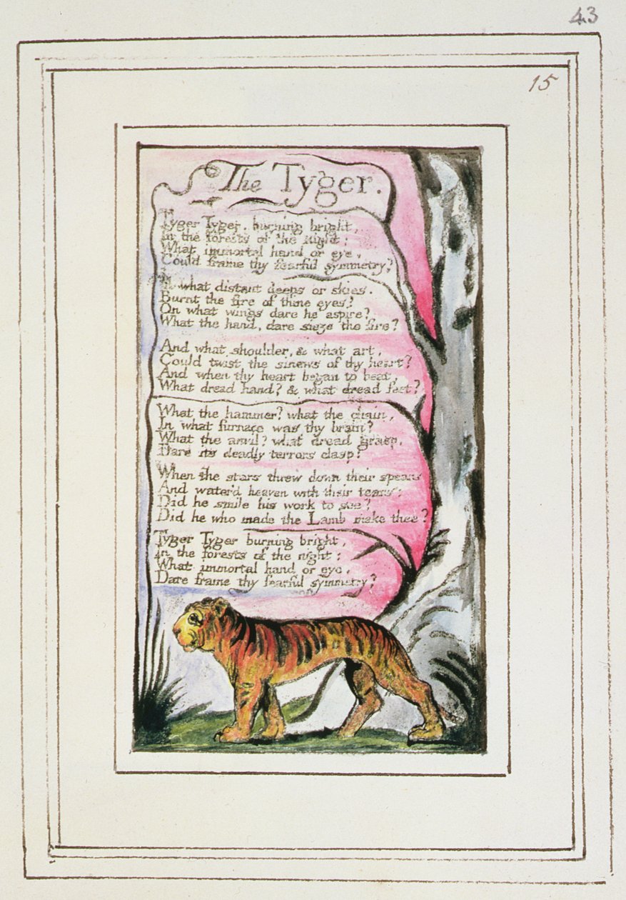 S.124-1950.pt43 The Tyger: plate 43 z 