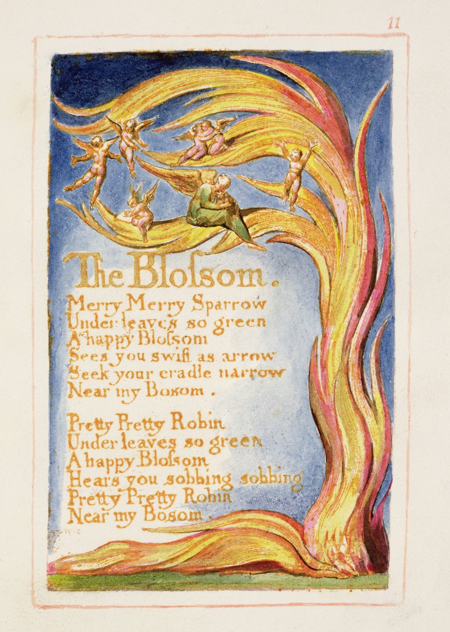 S.125-1950.pt11 The Blossom: deska 11 z 