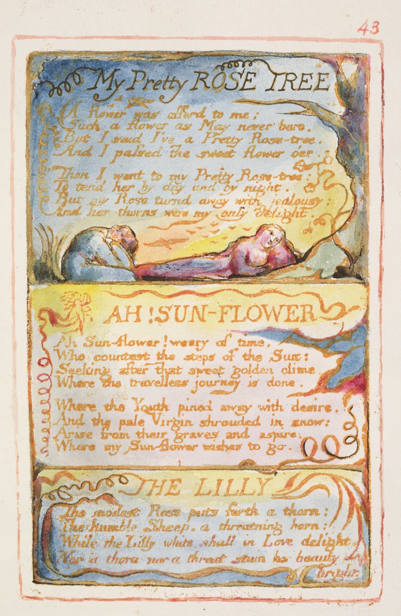 S.125-1950.pt43 My Pretty Rose Tree; Ach! Slunečnice; The Lilly: deska 43 z Songs of Innocence and of Experience (kopie AA) c.1815-26 (lept, inkoust a wc) od William Blake
