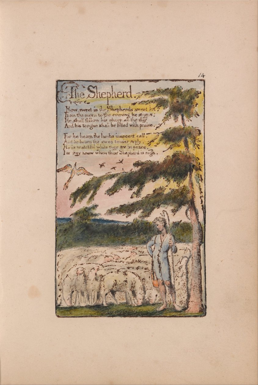 Písně nevinnosti a zkušeností od William Blake