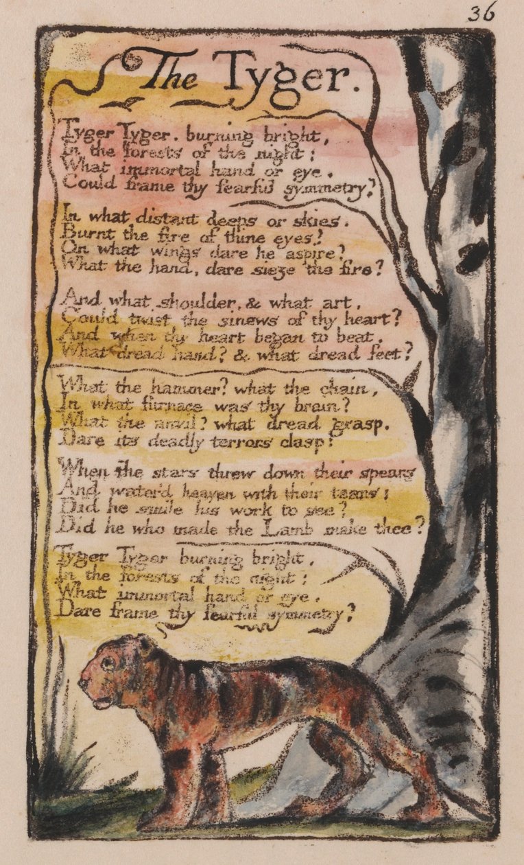 Songs of Innocence and of Experience, Plate 36, The Tyger (Bentley 42) od William Blake