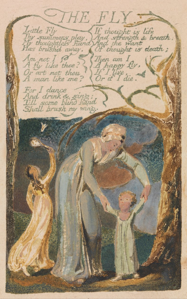 Songs of Innocence and of Experience, Plate 48, The Fly (Bentley 40) od William Blake