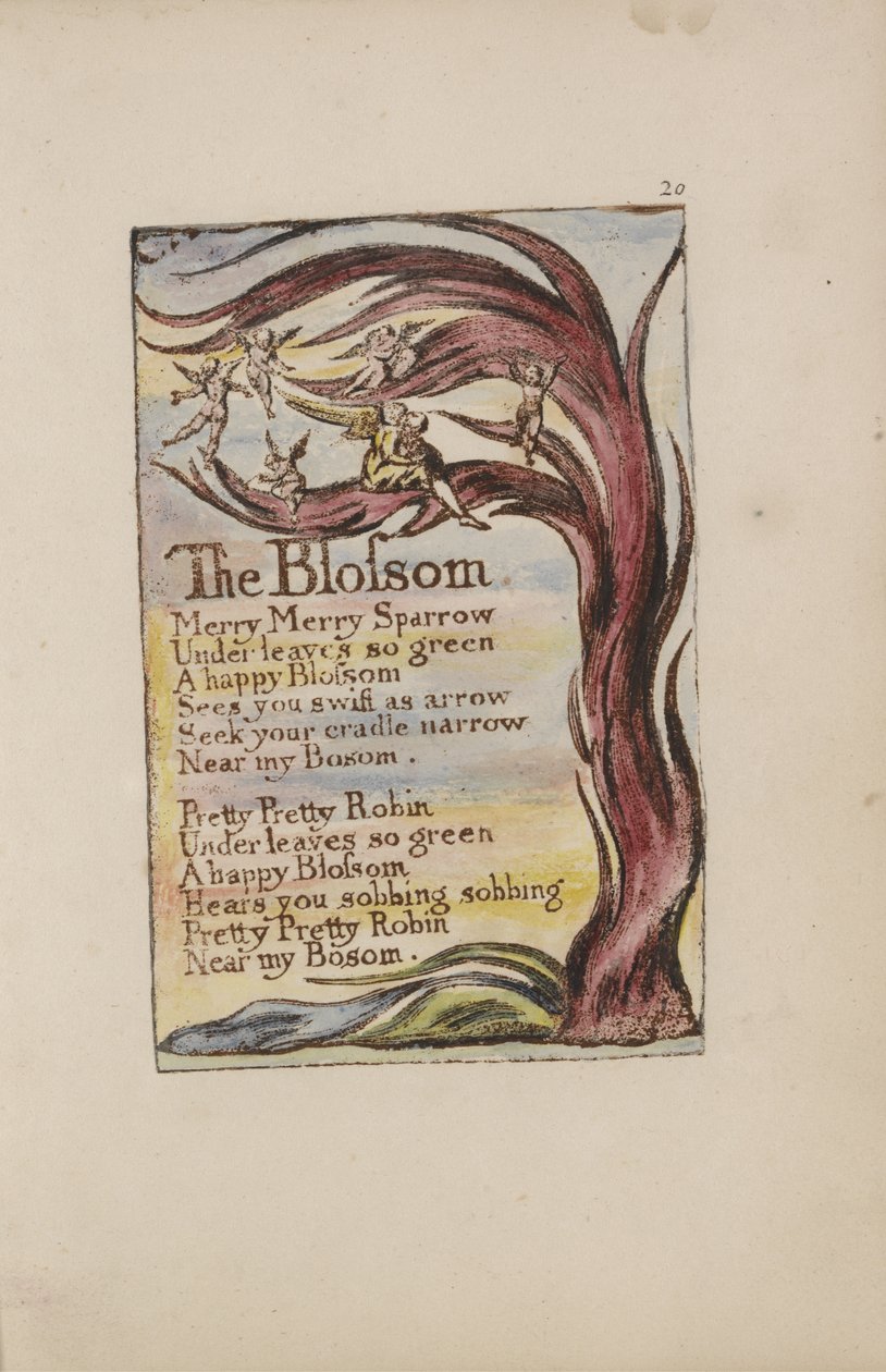 The Blossom, deska 20 od Songs of Innocence and of Experience [Bentley 11] cca 1789-94 (reliéfní lept tištěný hnědě perem a inkoustem a wc) od William Blake
