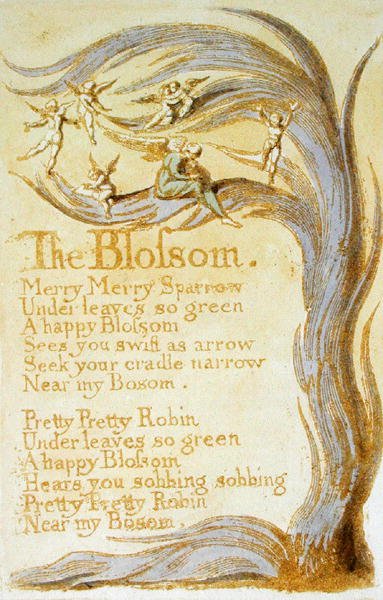The Blossom, deska 9 z Songs of Innocence, 1789 (reliéfní lept s wc na papíře) od William Blake