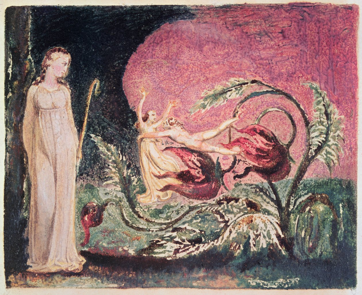 The Book of Thel: titulní strana, 1794 (barevně tištěný reliéfní lept) od William Blake