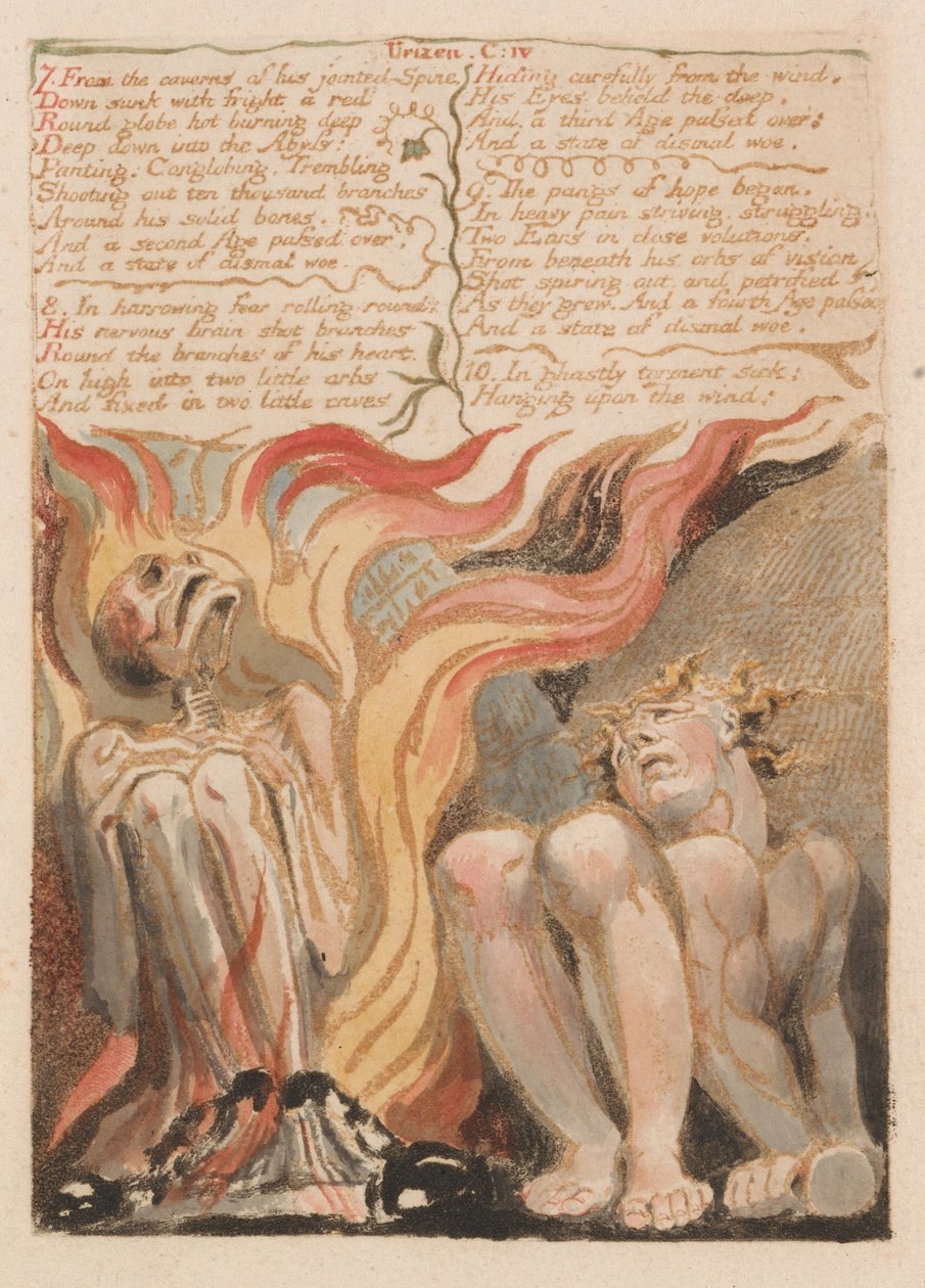 První kniha Urizena, talíř 14, 7. Z jeskyní jeho kloubové páteře ... (Bentley 11) od William Blake