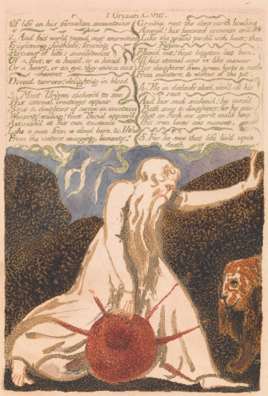 První kniha Urizen, talíř 20, O životě opuštěných hor. . . . (Bentley 23) od William Blake
