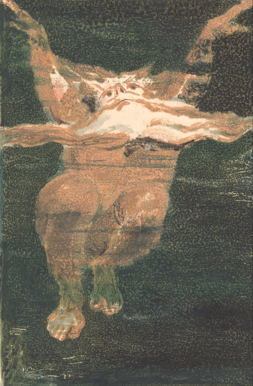 První kniha Urizena, talíř 5 (Bentley 12) od William Blake