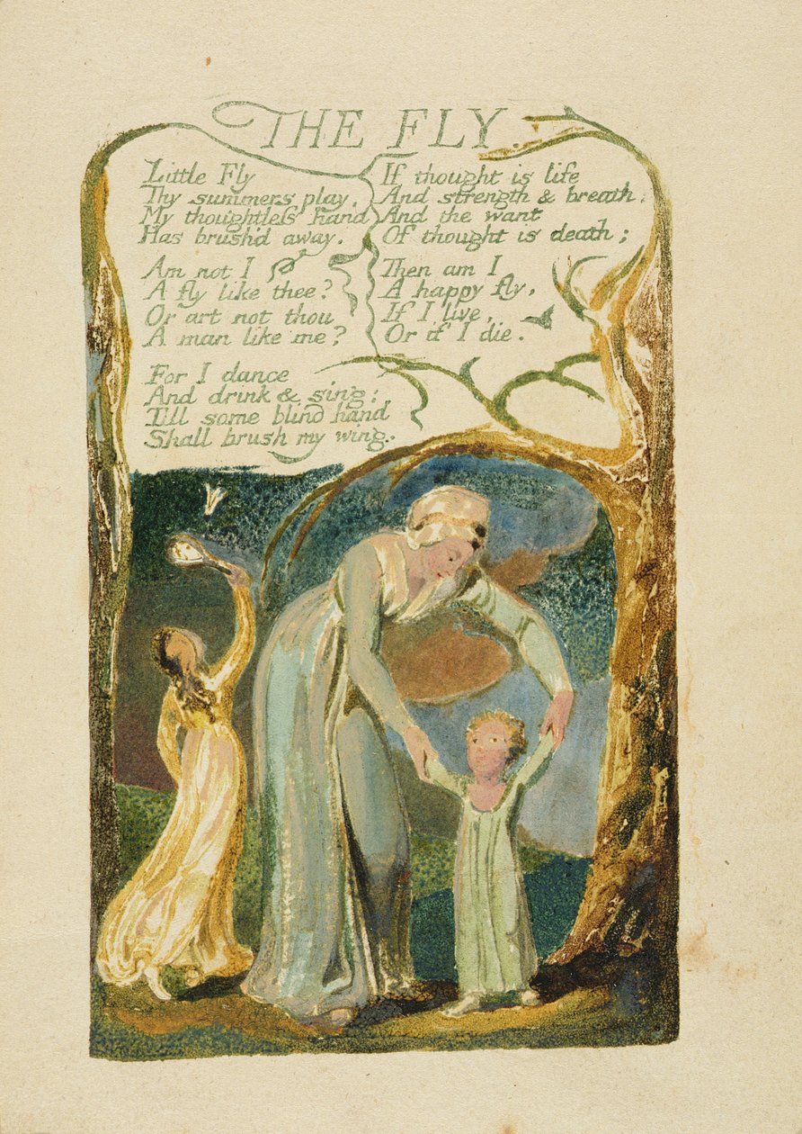 „The Fly“, deska 47 z „Songs of Experience“, 1794 (barevně tištěný reliéfní lept akvarelem) od William Blake