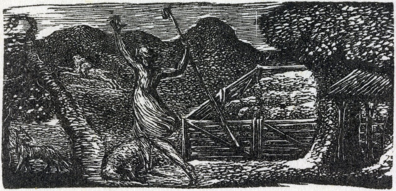 Dobrý pastýř zahání vlka, ilustrace z knihy Dr. Thorntona "Vergiliovy pastorály". od William Blake