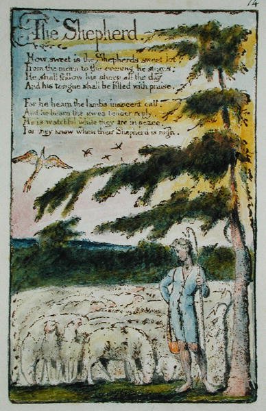 The Shepherd, ilustrace z Songs of Innocence and of Experience, (Bentley Copy L) pl.14 (Bentley 5) 1789-94 (reliéfní lept perem a wc na papíře) od William Blake