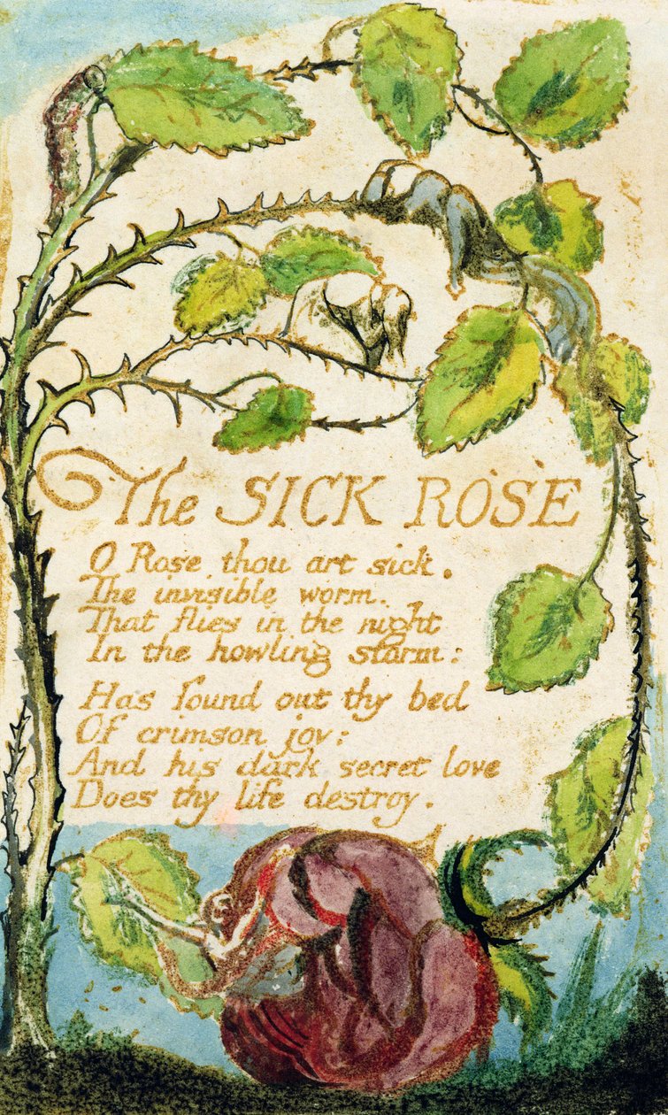 Nemocná růže, z Songs of Innocence (lept, inkoust a wc) od William Blake