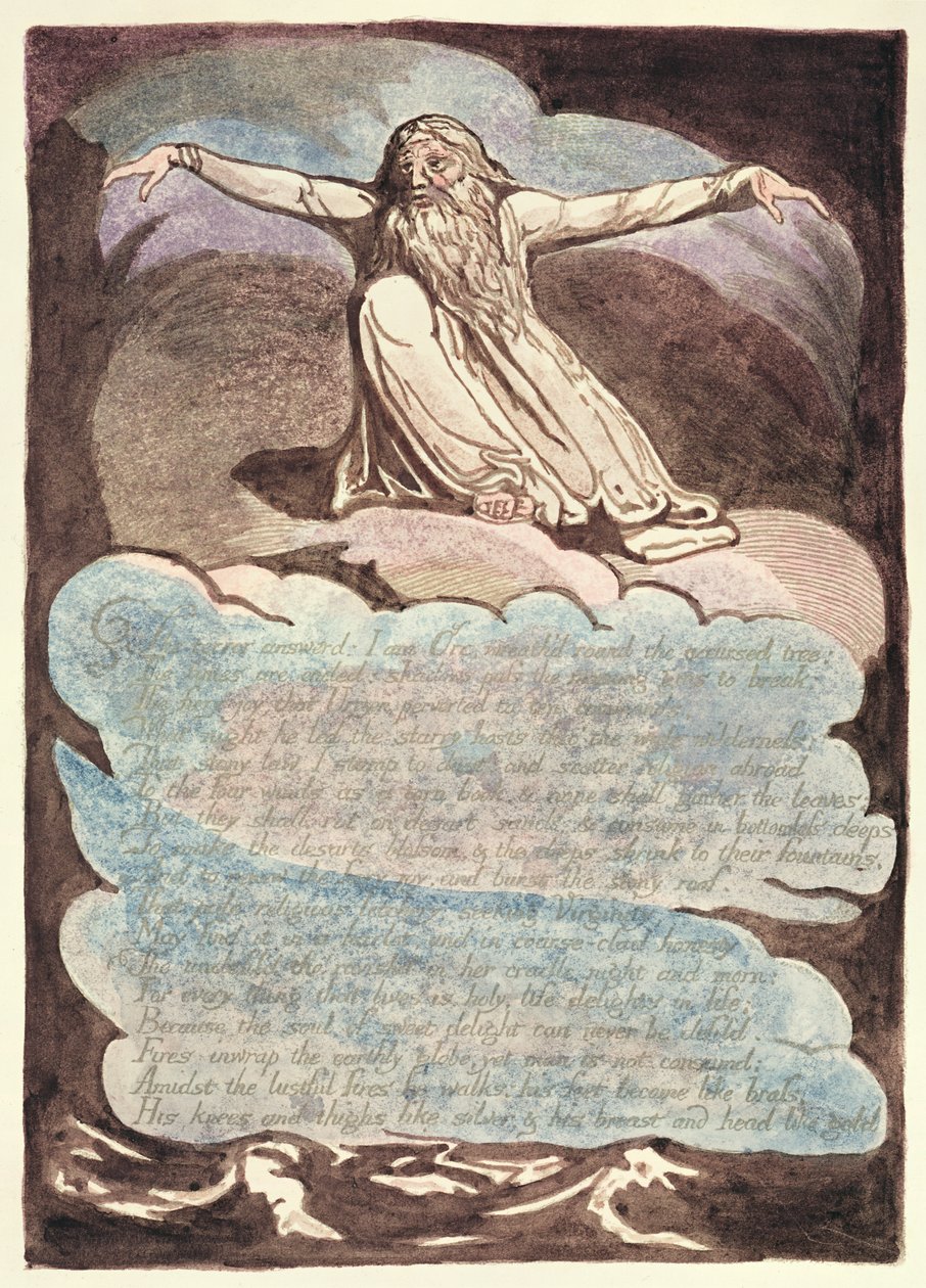 The Terror Answered, deska 8 z Ameriky, proroctví, 1793 (reliéfní lept a wc na papíře) od William Blake